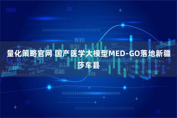 量化策略官网 国产医学大模型MED-GO落地新疆莎车县